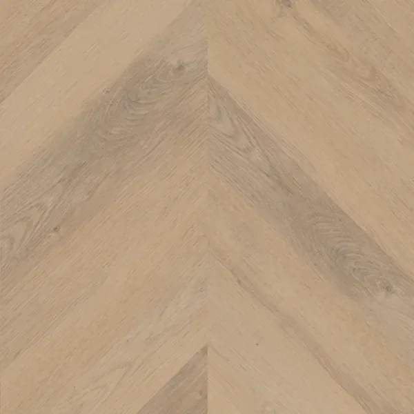 PALAZZO